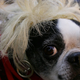 Image for article titled Smuggling Cocaine in Your Weave Is the Awesomest Terrible Idea Ever